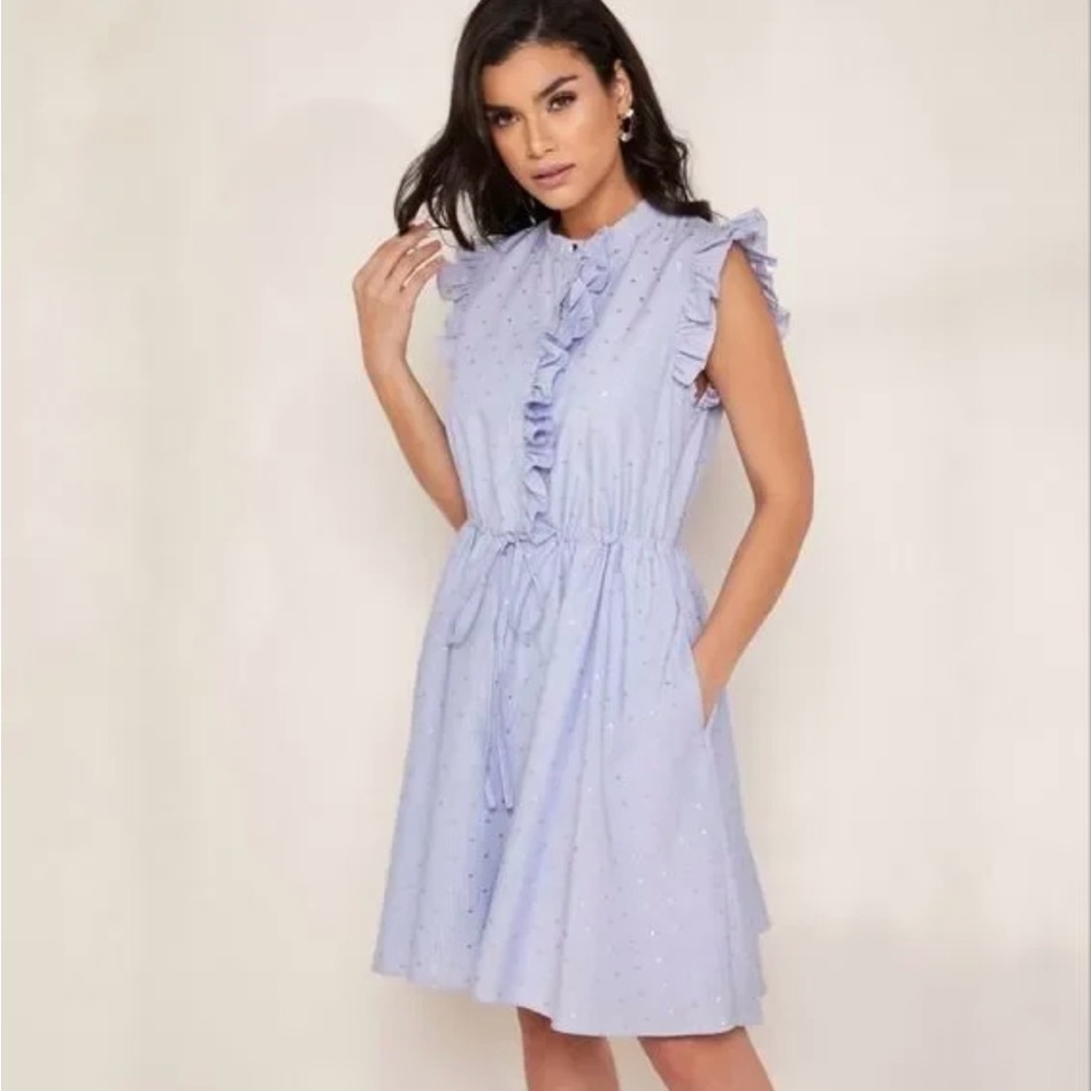 Ted Baker London Polka Dot Print Mini Dress with Pockets